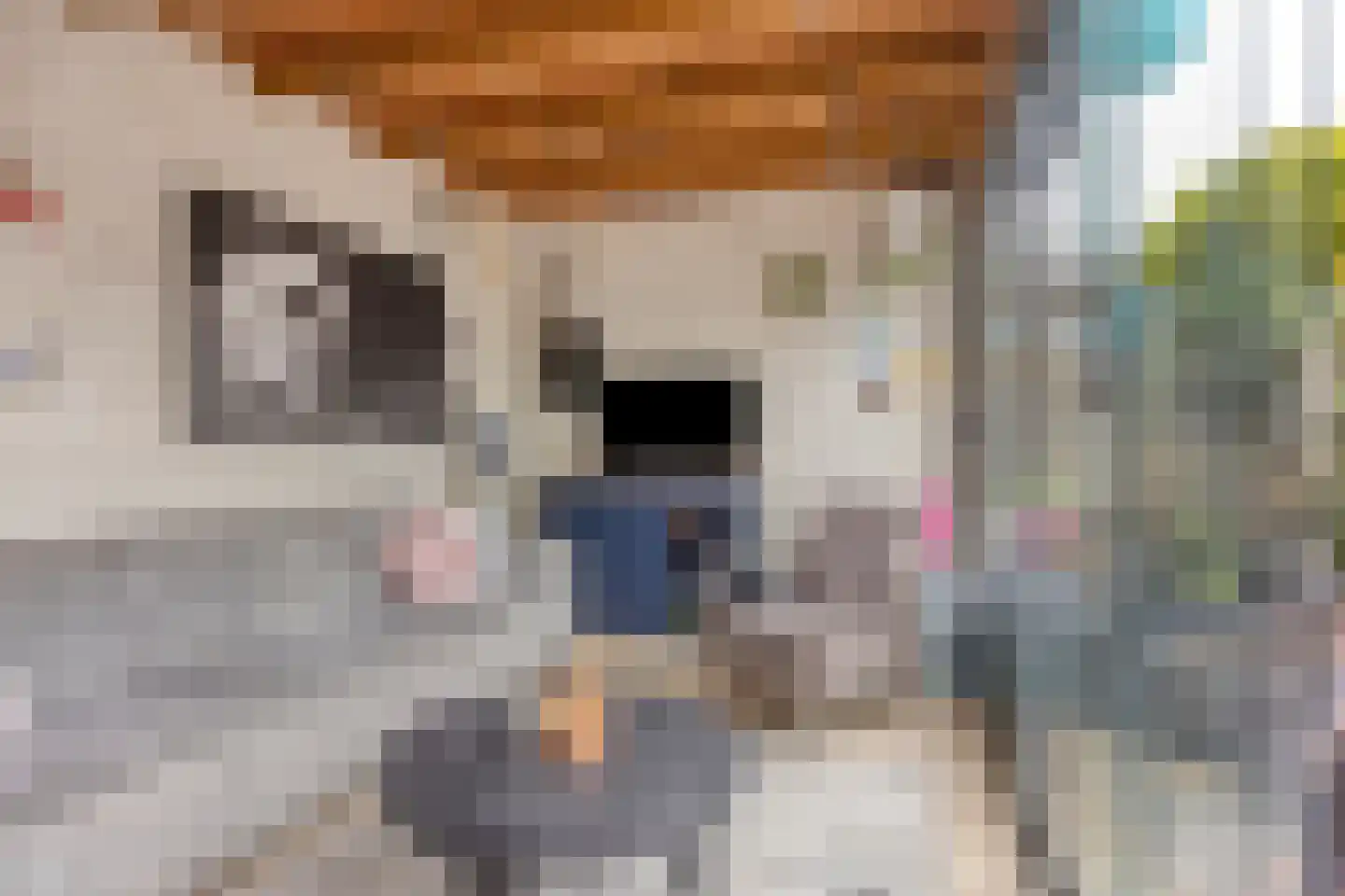 Zicht 29 Vriezenveen thumbnail 35