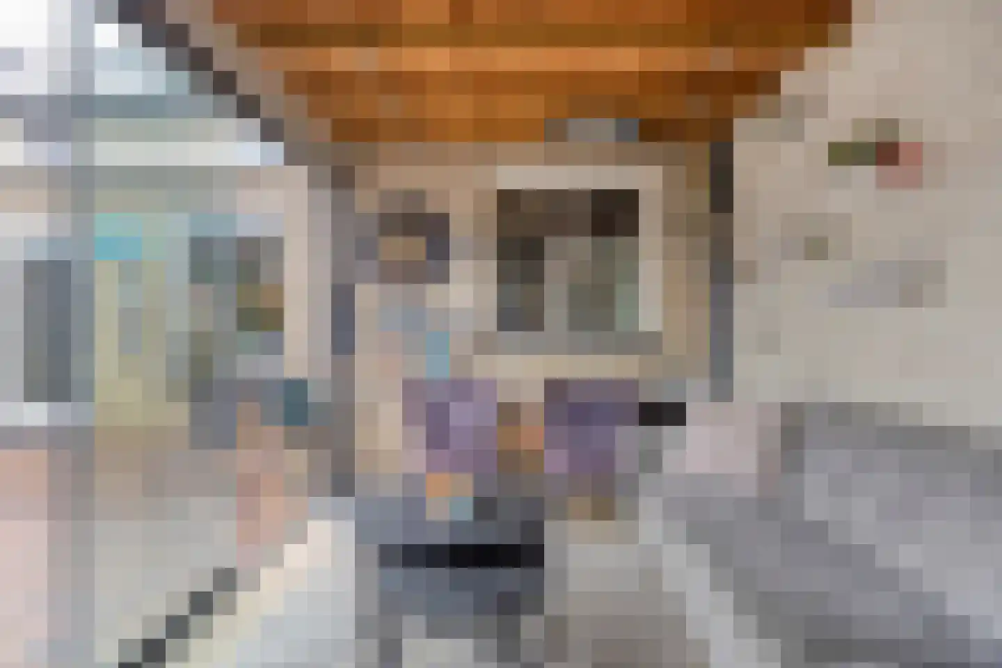 Zicht 29 Vriezenveen thumbnail 36