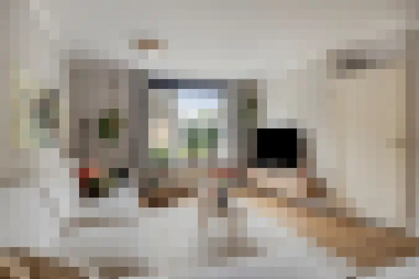 Zicht 29 Vriezenveen thumbnail 4