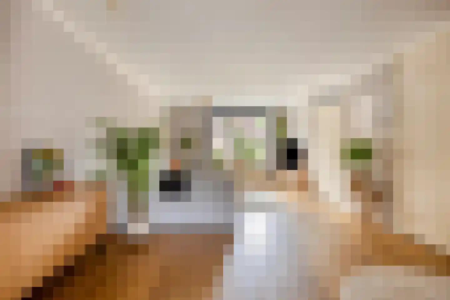 Zicht 29 Vriezenveen thumbnail 7