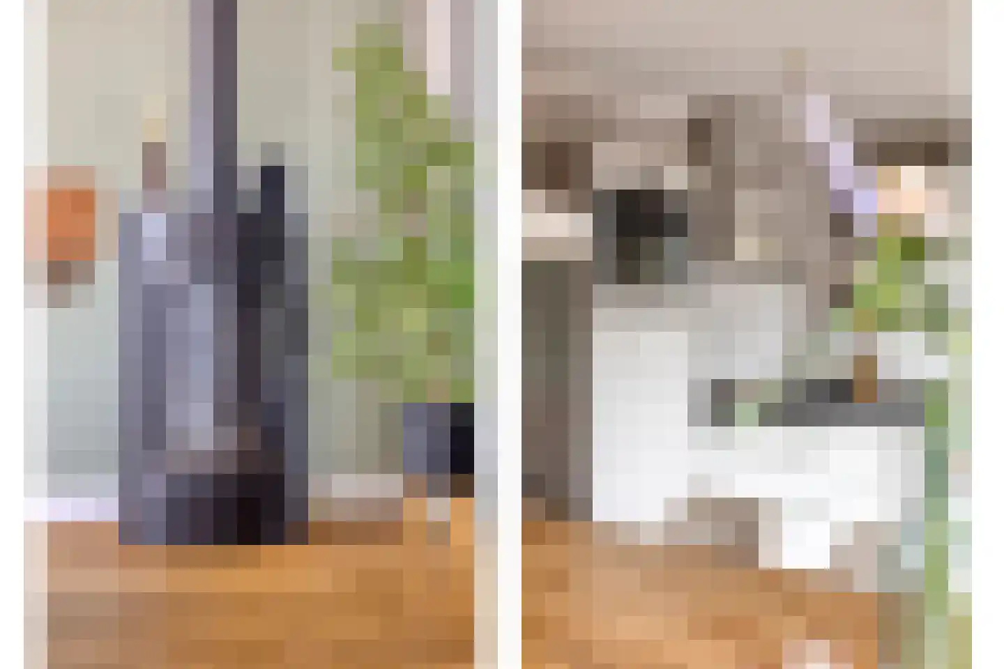 Zicht 29 Vriezenveen thumbnail 8