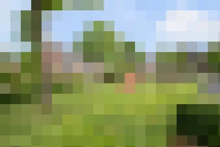 Zicht 30 Eersel thumbnail 26