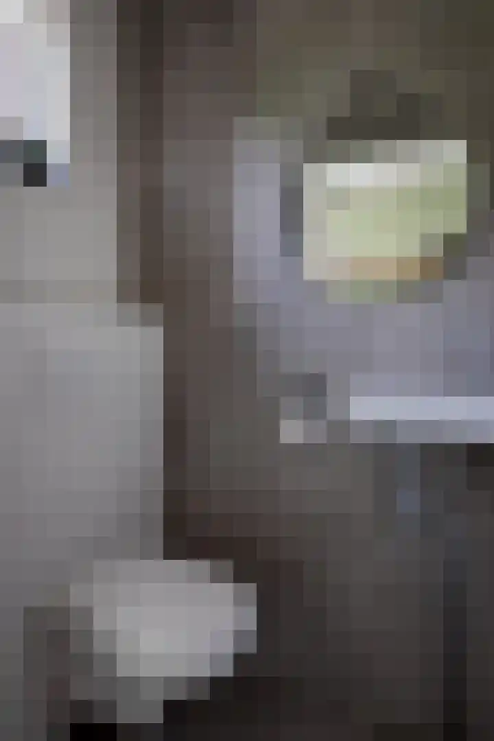 Zicht 30 Eersel thumbnail 5