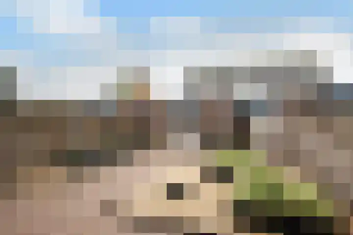 Zicht 4 Voorthuizen thumbnail 25