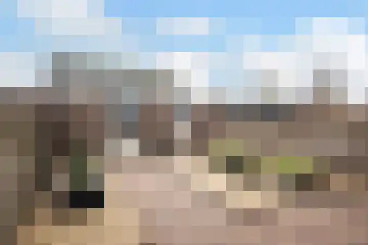 Zicht 4 Voorthuizen thumbnail 26