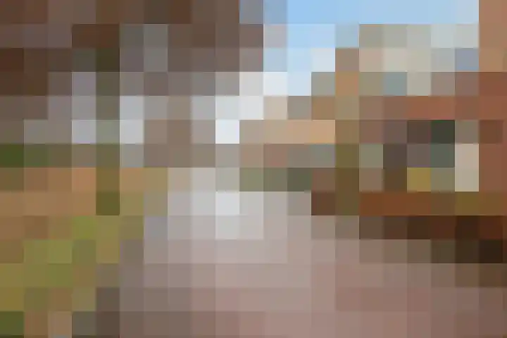 Zicht 4 Voorthuizen thumbnail 29