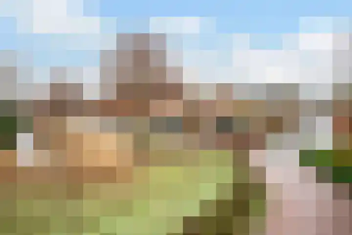 Zicht 4 Voorthuizen thumbnail 30