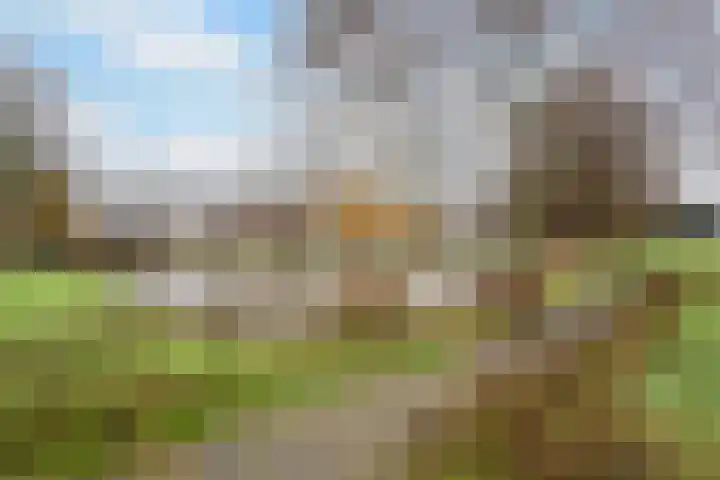 Zicht 4 Voorthuizen thumbnail 32