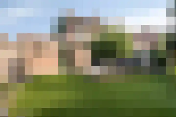 Zicht 5 Maarheeze thumbnail 28