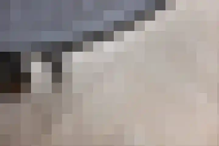 Zicht 6 Berghem thumbnail 13