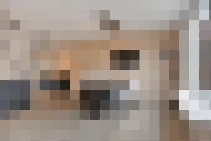 Zicht 6 Berghem thumbnail 24