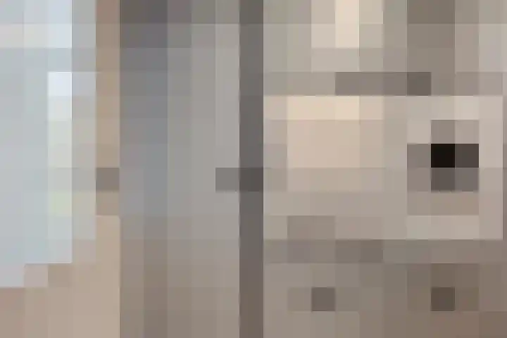 Zicht 6 Berghem thumbnail 32