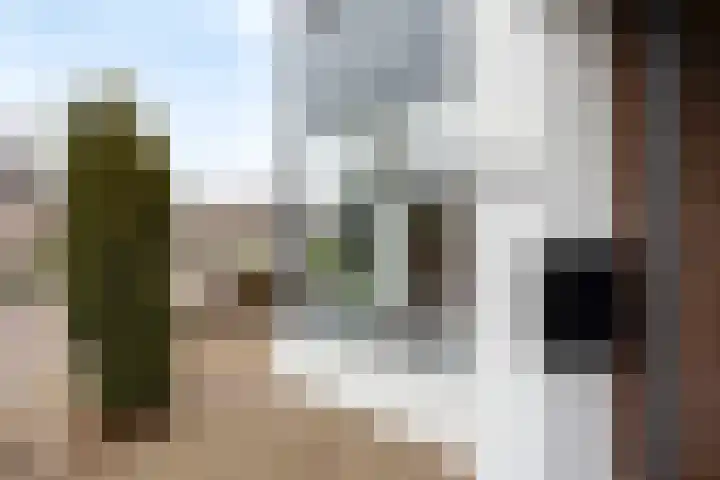 Zicht 6 Berghem thumbnail 63
