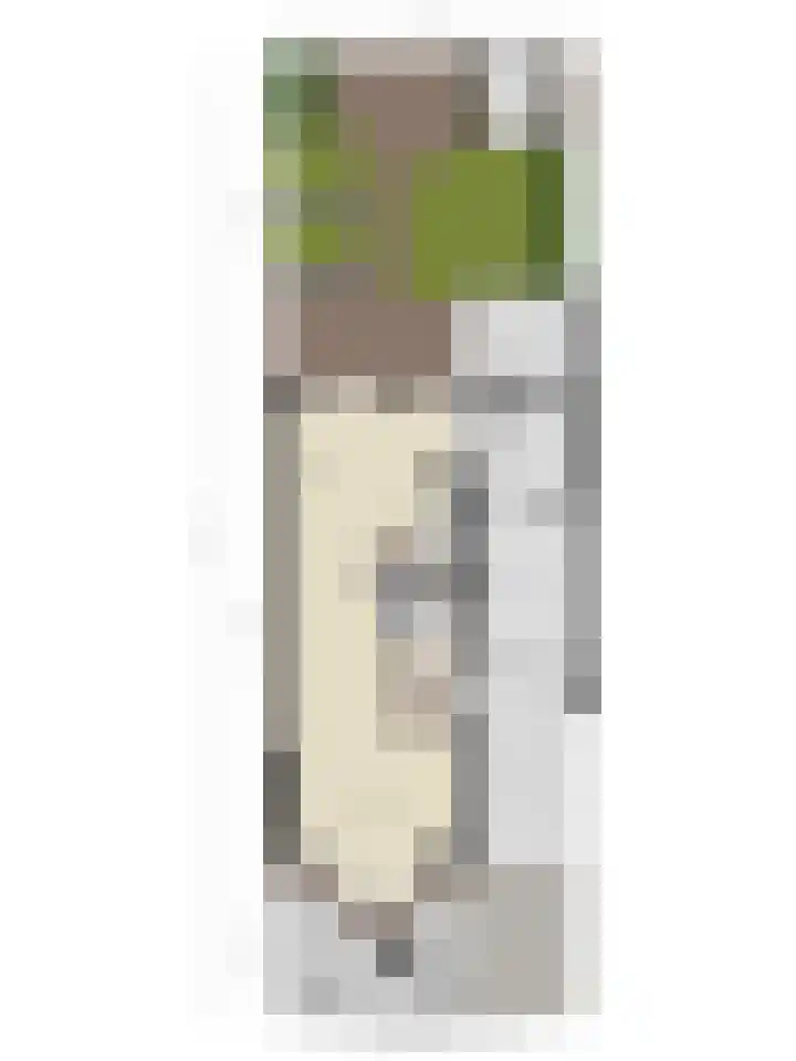 Zicht 6 Berghem thumbnail 64