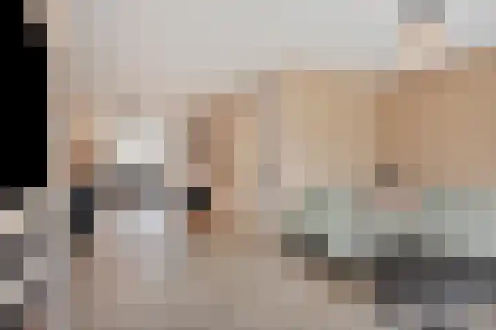 Zicht 6 Berghem thumbnail 8