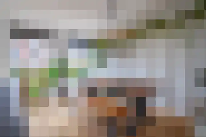 Zichtakker 21 Arnhem thumbnail 10