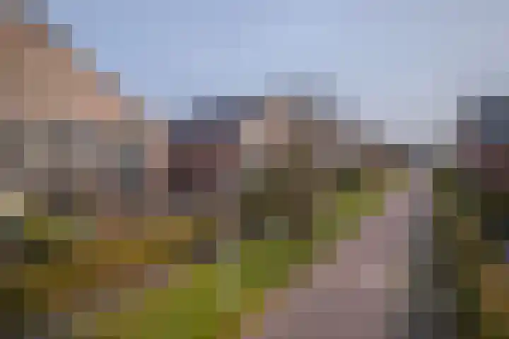 Zichtakker 21 Arnhem thumbnail 30