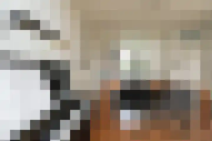 Zichtheugte 14 Assen thumbnail 14