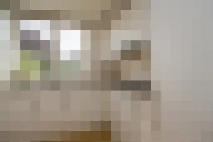 Zichtheugte 14 Assen thumbnail 16
