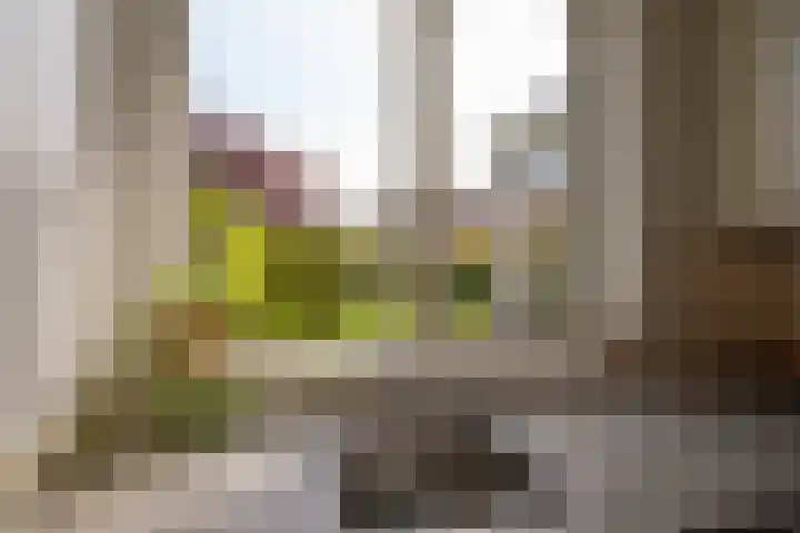 Zichtheugte 14 Assen thumbnail 17