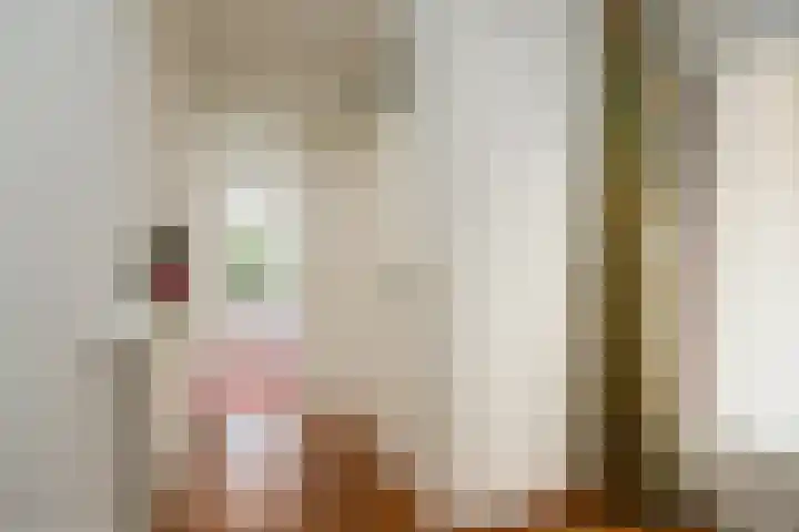 Zichtheugte 14 Assen thumbnail 18