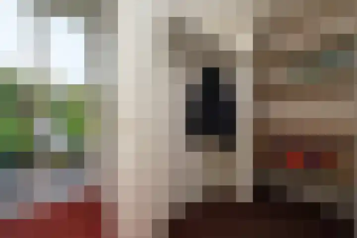 Zichtheugte 14 Assen thumbnail 21