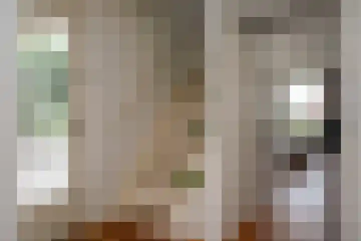 Zichtheugte 14 Assen thumbnail 23