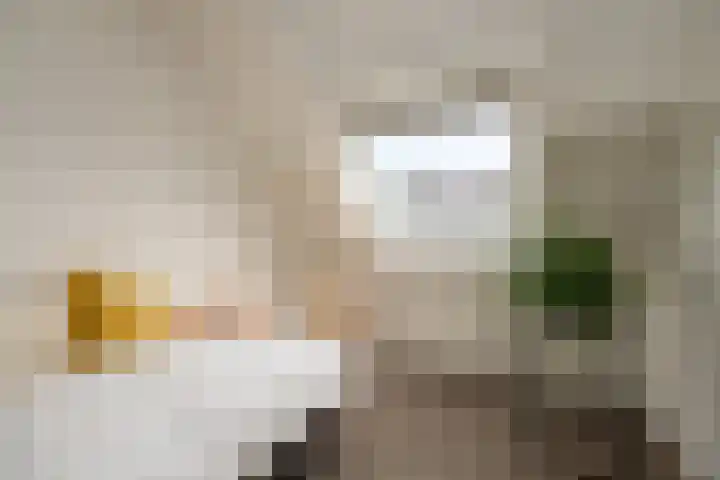 Zichtheugte 14 Assen thumbnail 28