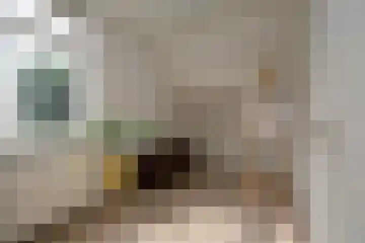 Zichtheugte 14 Assen thumbnail 29