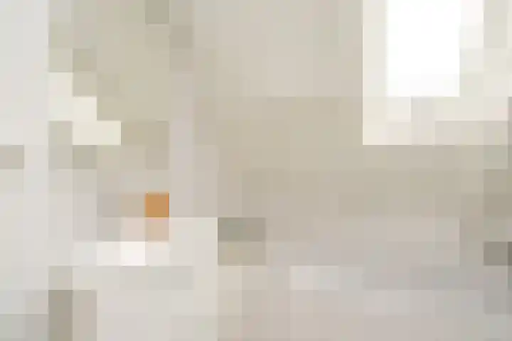 Zichtheugte 14 Assen thumbnail 31