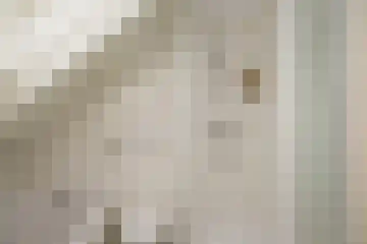 Zichtheugte 14 Assen thumbnail 32