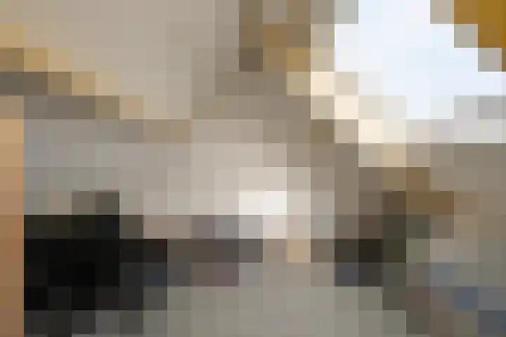 Zichtheugte 14 Assen thumbnail 34