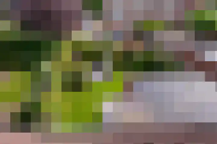 Zichtheugte 14 Assen thumbnail 35