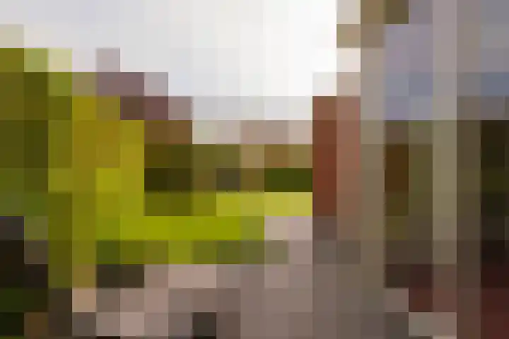 Zichtheugte 14 Assen thumbnail 36