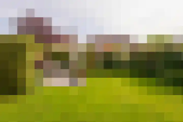 Zichtheugte 14 Assen thumbnail 37
