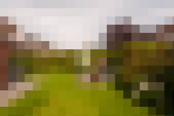 Zichtheugte 14 Assen thumbnail 38