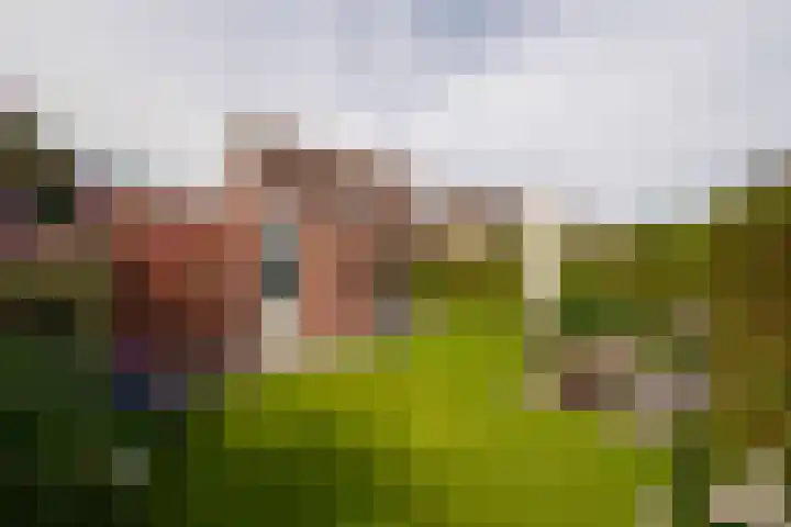 Zichtheugte 14 Assen thumbnail 39