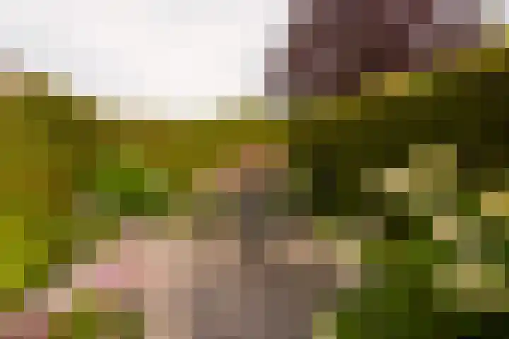 Zichtheugte 14 Assen thumbnail 40