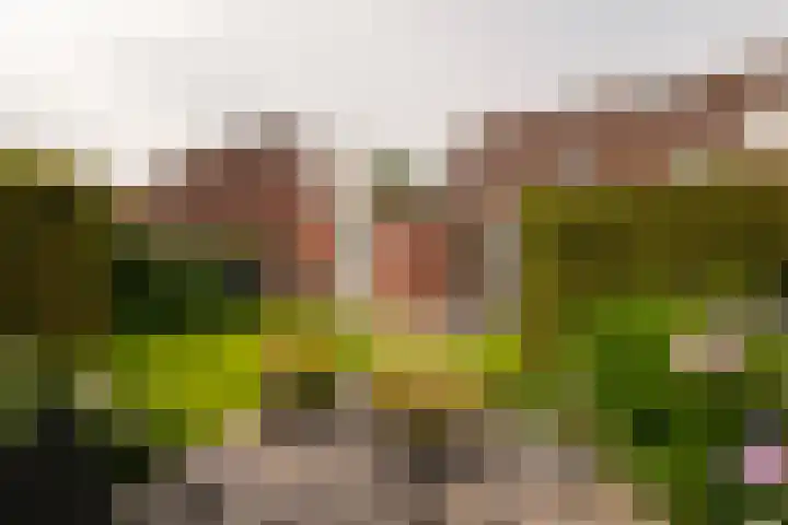 Zichtheugte 14 Assen thumbnail 41