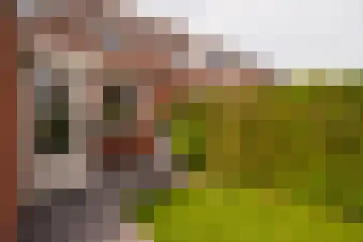 Zichtheugte 14 Assen thumbnail 42