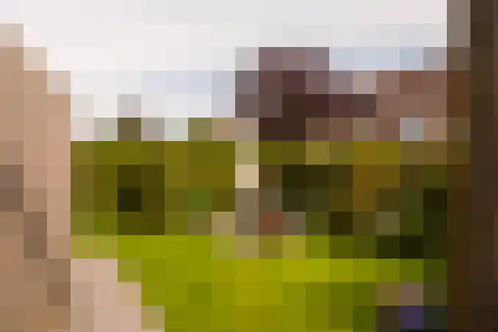 Zichtheugte 14 Assen thumbnail 43