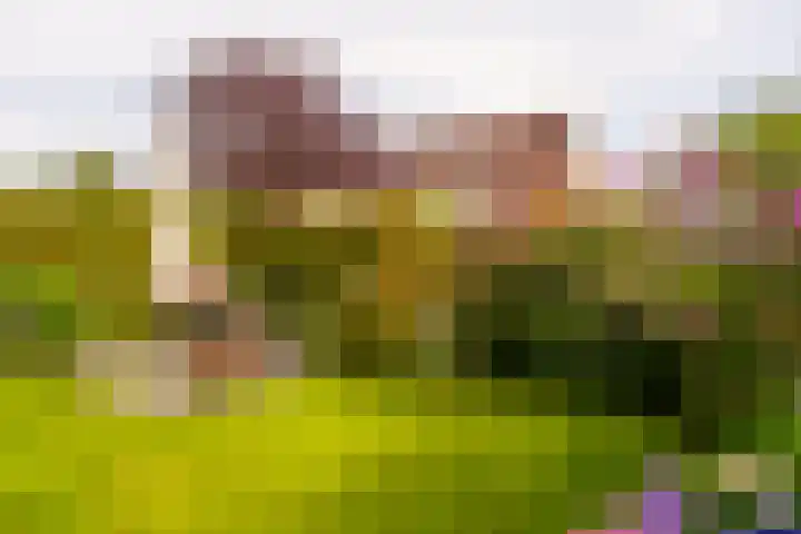 Zichtheugte 14 Assen thumbnail 44