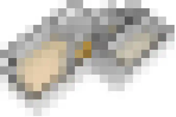 Zichtheugte 14 Assen thumbnail 47