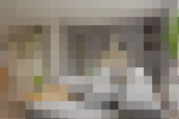 Zichtheugte 31 Assen thumbnail 10