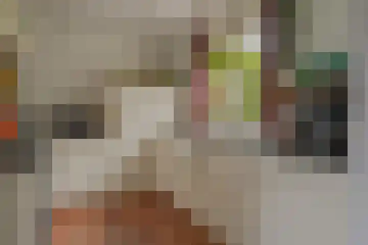 Zichtheugte 31 Assen thumbnail 13