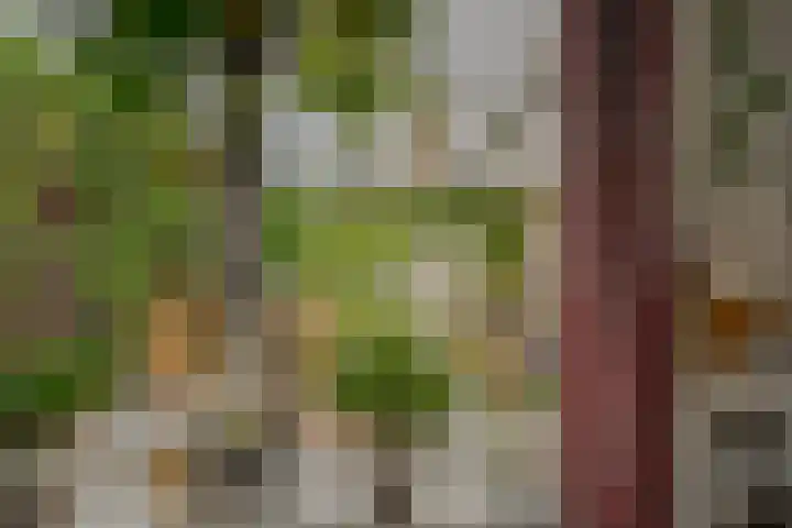 Zichtheugte 31 Assen thumbnail 14