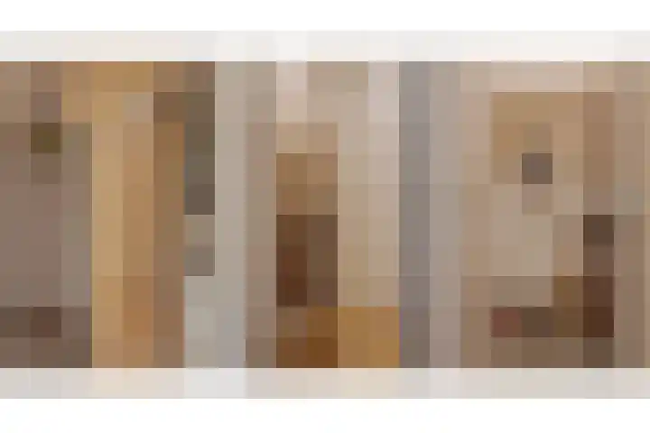 Zichtheugte 31 Assen thumbnail 16