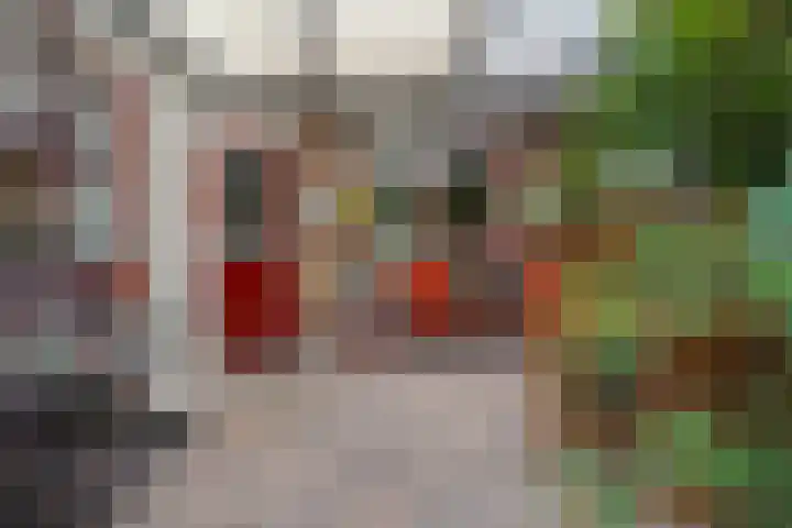 Zichtheugte 31 Assen thumbnail 17