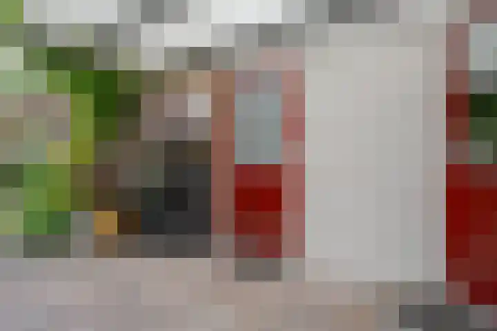 Zichtheugte 31 Assen thumbnail 18