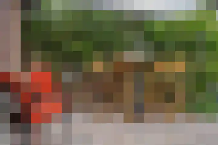 Zichtheugte 31 Assen thumbnail 19